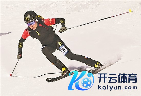 2860506_tpzz_1739113981855_b