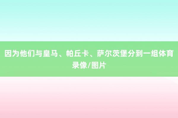 因为他们与皇马、帕丘卡、萨尔茨堡分到一组体育录像/图片