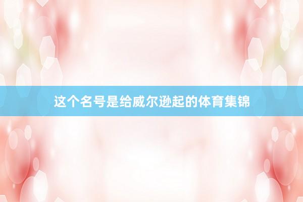 这个名号是给威尔逊起的体育集锦