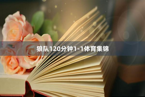 狼队120分钟1-1体育集锦