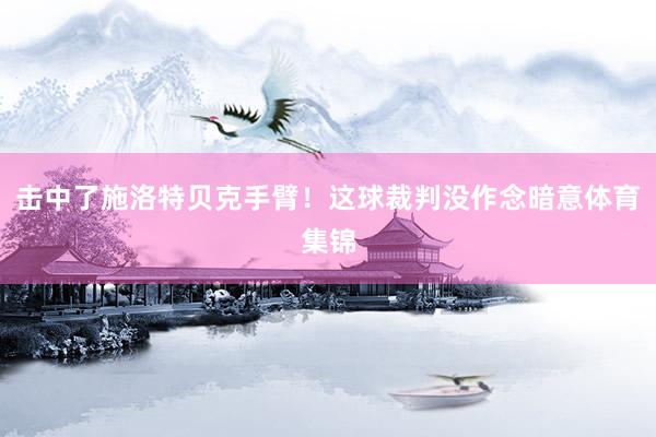 击中了施洛特贝克手臂！这球裁判没作念暗意体育集锦