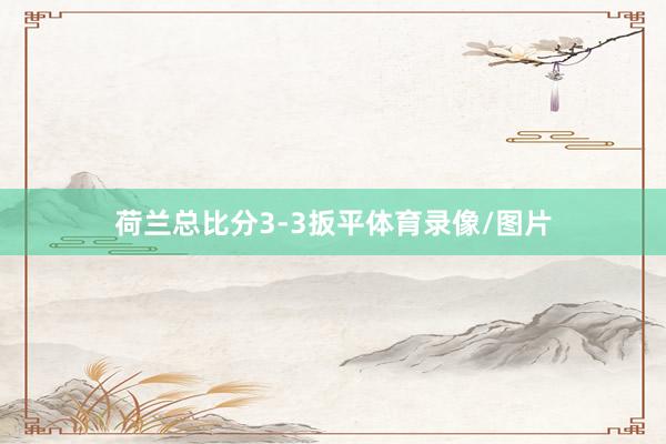荷兰总比分3-3扳平体育录像/图片