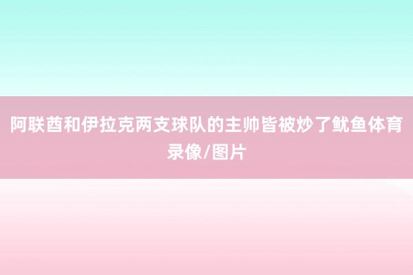 阿联酋和伊拉克两支球队的主帅皆被炒了鱿鱼体育录像/图片