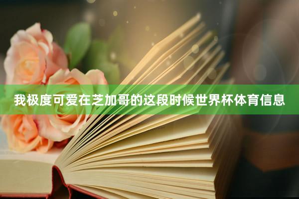 我极度可爱在芝加哥的这段时候世界杯体育信息