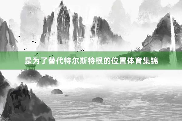 是为了替代特尔斯特根的位置体育集锦