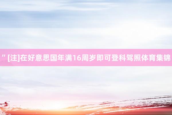 ”[注]在好意思国年满16周岁即可登科驾照体育集锦