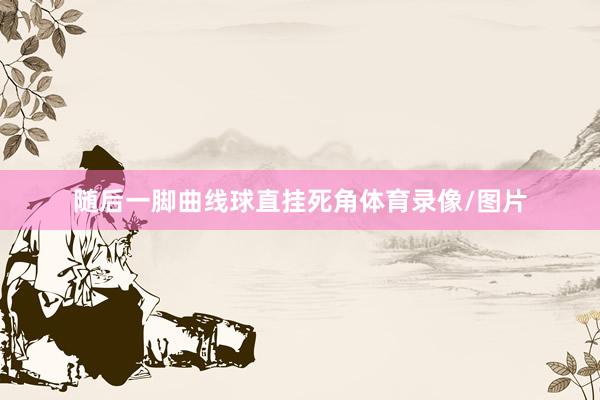 随后一脚曲线球直挂死角体育录像/图片