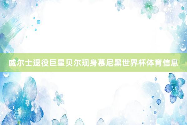 威尔士退役巨星贝尔现身慕尼黑世界杯体育信息