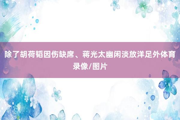 除了胡荷韬因伤缺席、蒋光太幽闲淡放洋足外体育录像/图片