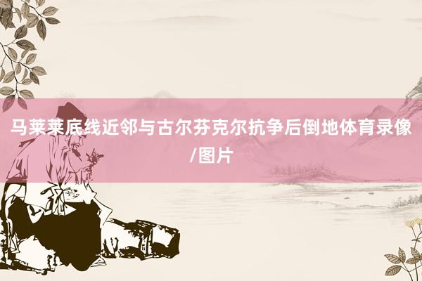 马莱莱底线近邻与古尔芬克尔抗争后倒地体育录像/图片