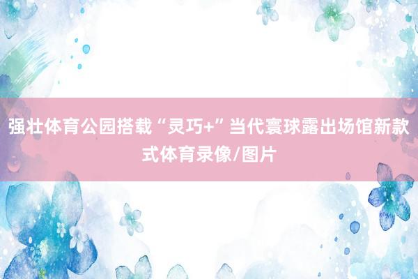 强壮体育公园搭载“灵巧+”当代寰球露出场馆新款式体育录像/图片