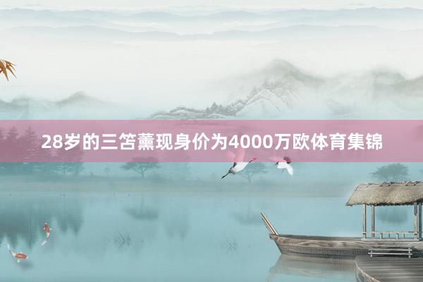 28岁的三笘薰现身价为4000万欧体育集锦
