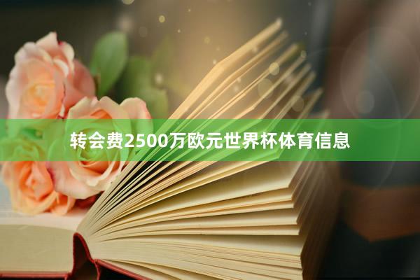 转会费2500万欧元世界杯体育信息