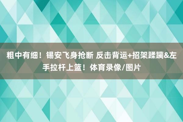 粗中有细!锡安飞身抢断 反击背运+招架蹂躏&左手拉杆上篮!体育录像/图片