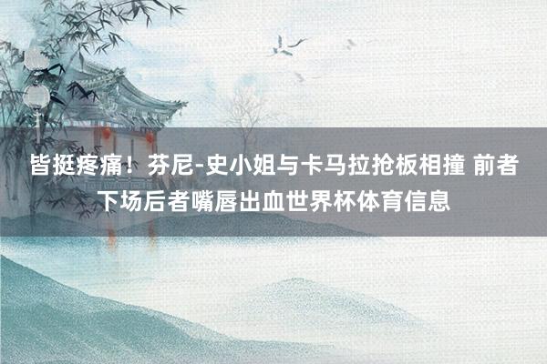 皆挺疼痛！芬尼-史小姐与卡马拉抢板相撞 前者下场后者嘴唇出血世界杯体育信息