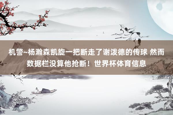 机警~杨瀚森凯旋一把断走了谢泼德的传球 然而数据栏没算他抢断！世界杯体育信息