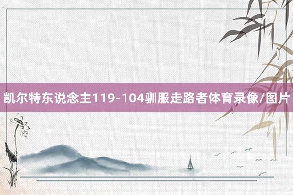 凯尔特东说念主119-104驯服走路者体育录像/图片