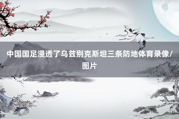 中国国足浸透了乌兹别克斯坦三条防地体育录像/图片