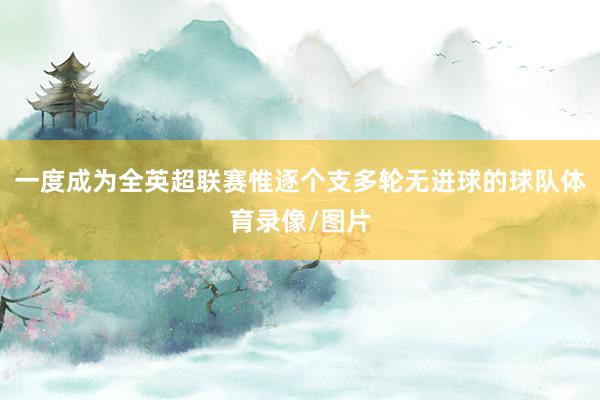 一度成为全英超联赛惟逐个支多轮无进球的球队体育录像/图片