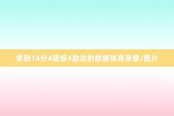 拿到14分4篮板4助攻的数据体育录像/图片