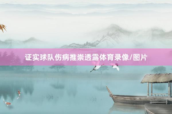 证实球队伤病推崇透露体育录像/图片