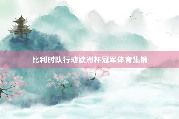 比利时队行动欧洲杯冠军体育集锦