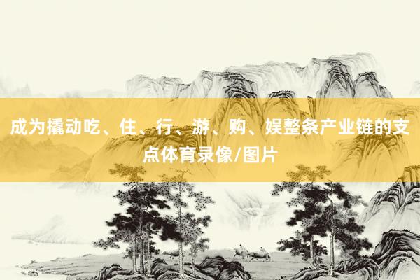 成为撬动吃、住、行、游、购、娱整条产业链的支点体育录像/图片