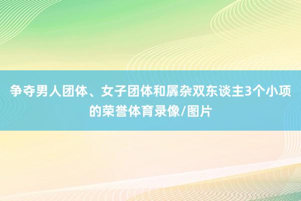 争夺男人团体、女子团体和羼杂双东谈主3个小项的荣誉体育录像/图片