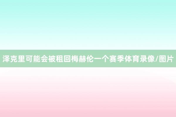 泽克里可能会被租回梅赫伦一个赛季体育录像/图片