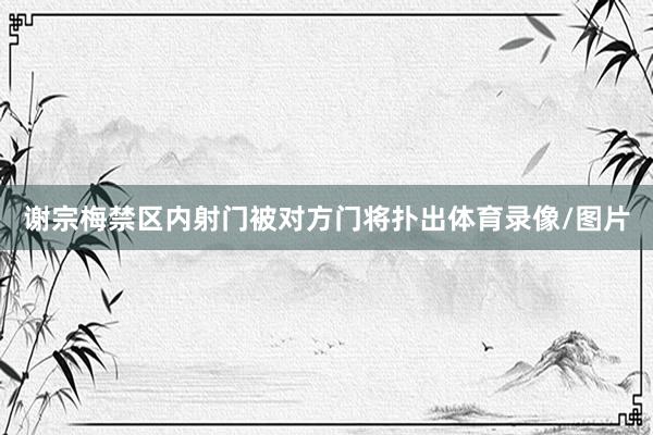 谢宗梅禁区内射门被对方门将扑出体育录像/图片