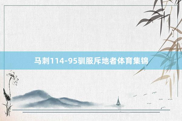 马刺114-95驯服斥地者体育集锦
