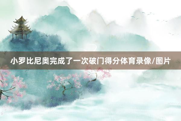 小罗比尼奥完成了一次破门得分体育录像/图片