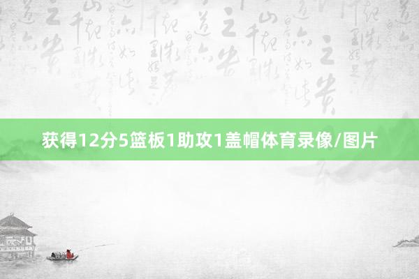 获得12分5篮板1助攻1盖帽体育录像/图片