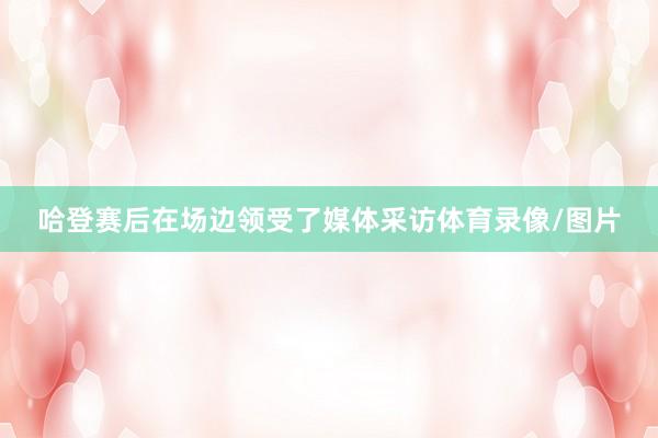 哈登赛后在场边领受了媒体采访体育录像/图片