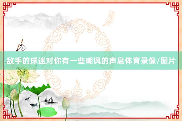 敌手的球迷对你有一些嘲讽的声息体育录像/图片