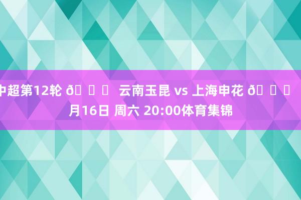 中超第12轮 🆚 云南玉昆 vs 上海申花 📅 5月16日 周六 20:00体育集锦