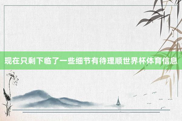 现在只剩下临了一些细节有待理顺世界杯体育信息