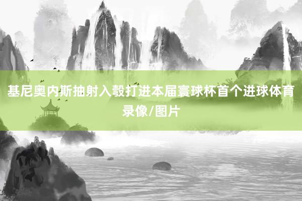 基尼奥内斯抽射入彀打进本届寰球杯首个进球体育录像/图片